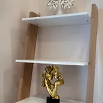 Stelina *